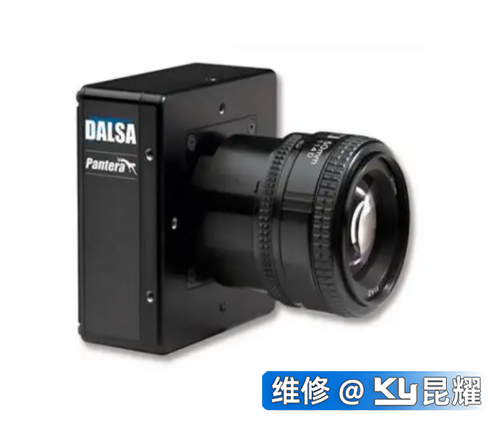 加拿大灰点相机拍摄时图像：蛭尥枷